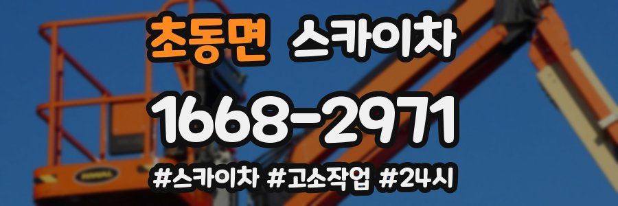 초동면 스카이차