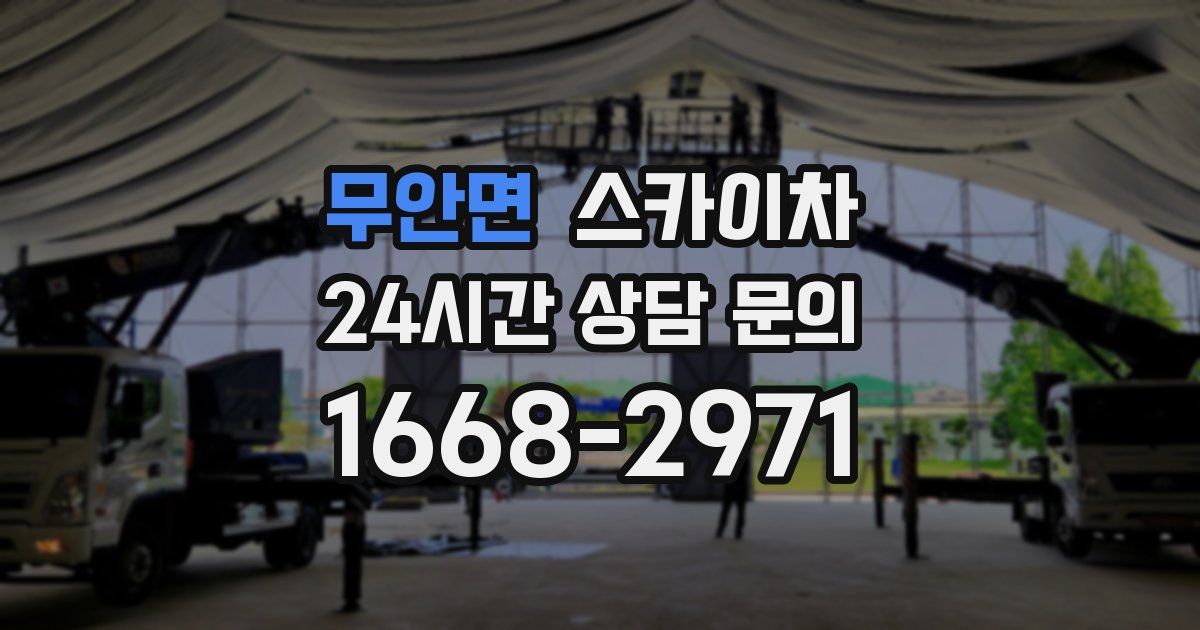 무안면 스카이차