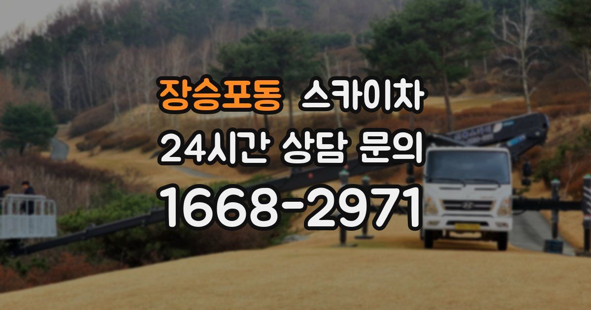 장승포동 스카이차