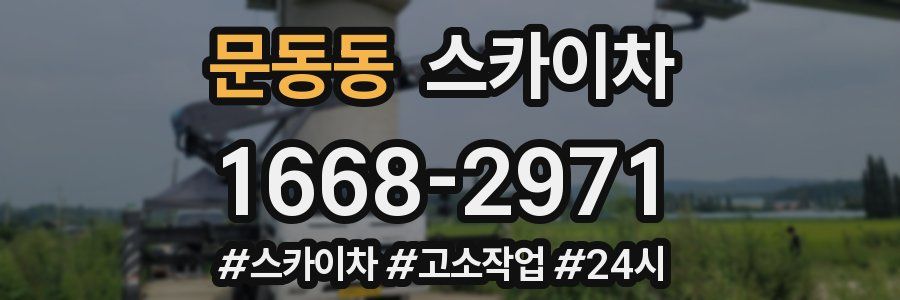 문동동 스카이차