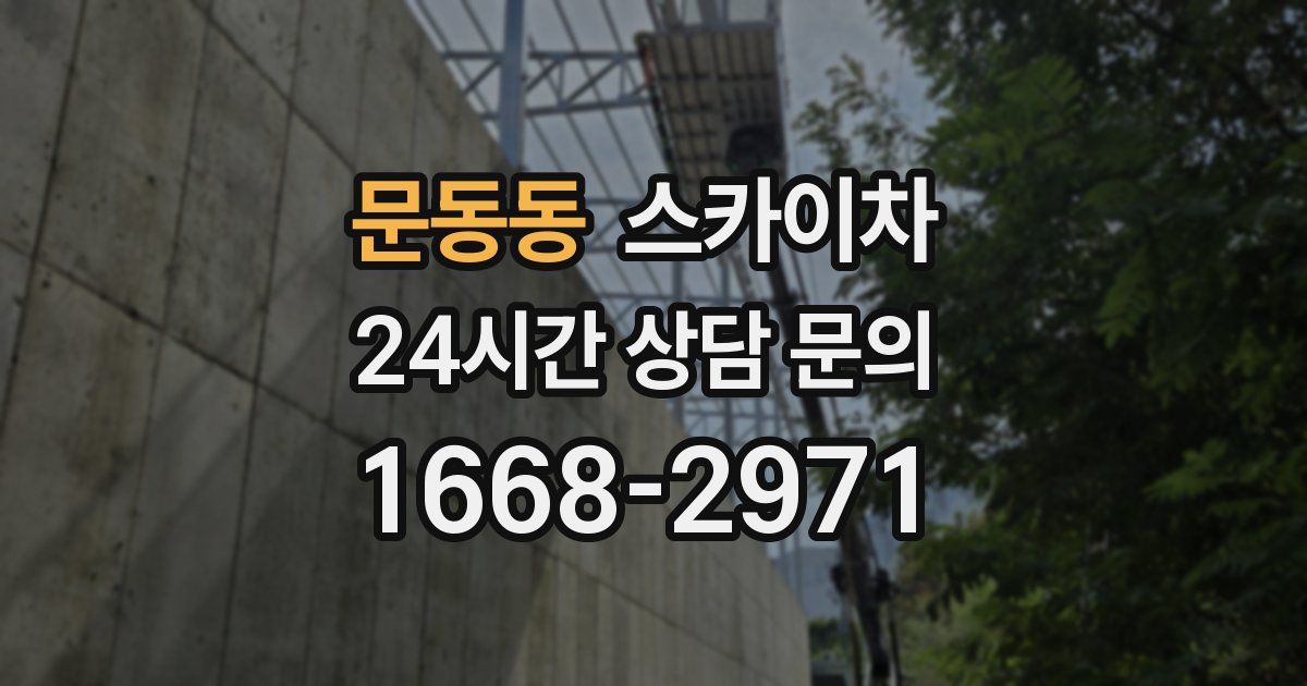 문동동 스카이차