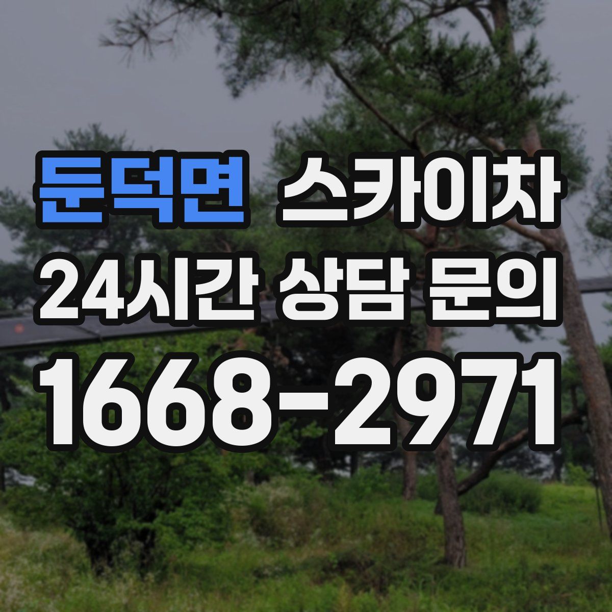 둔덕면 스카이차