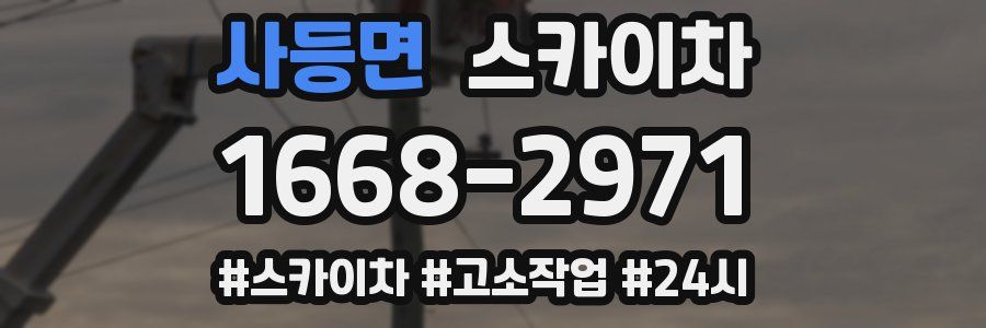 사등면 스카이차