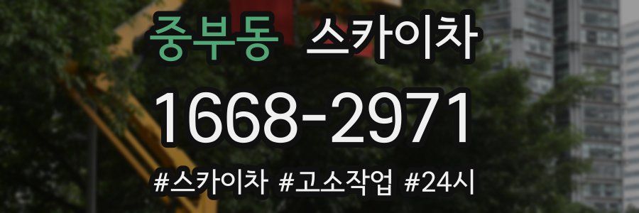 중부동 스카이차