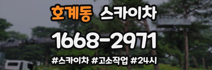 호계동 스카이차