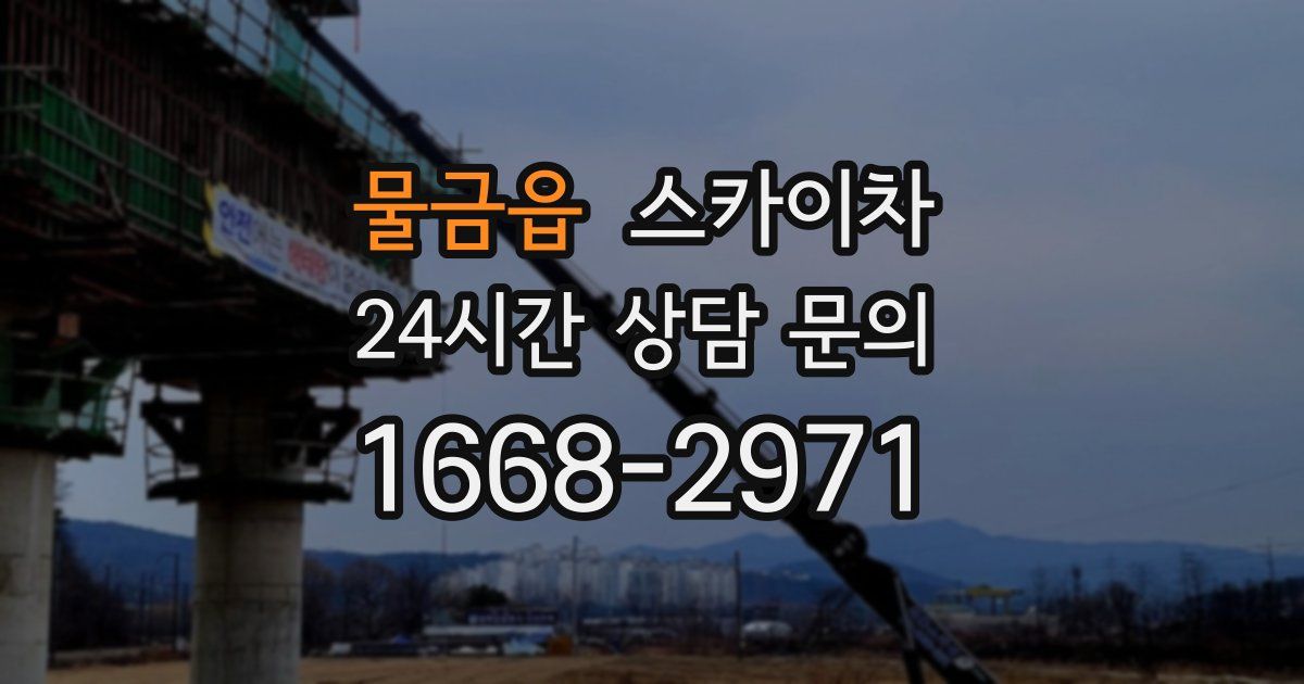 물금읍 스카이차