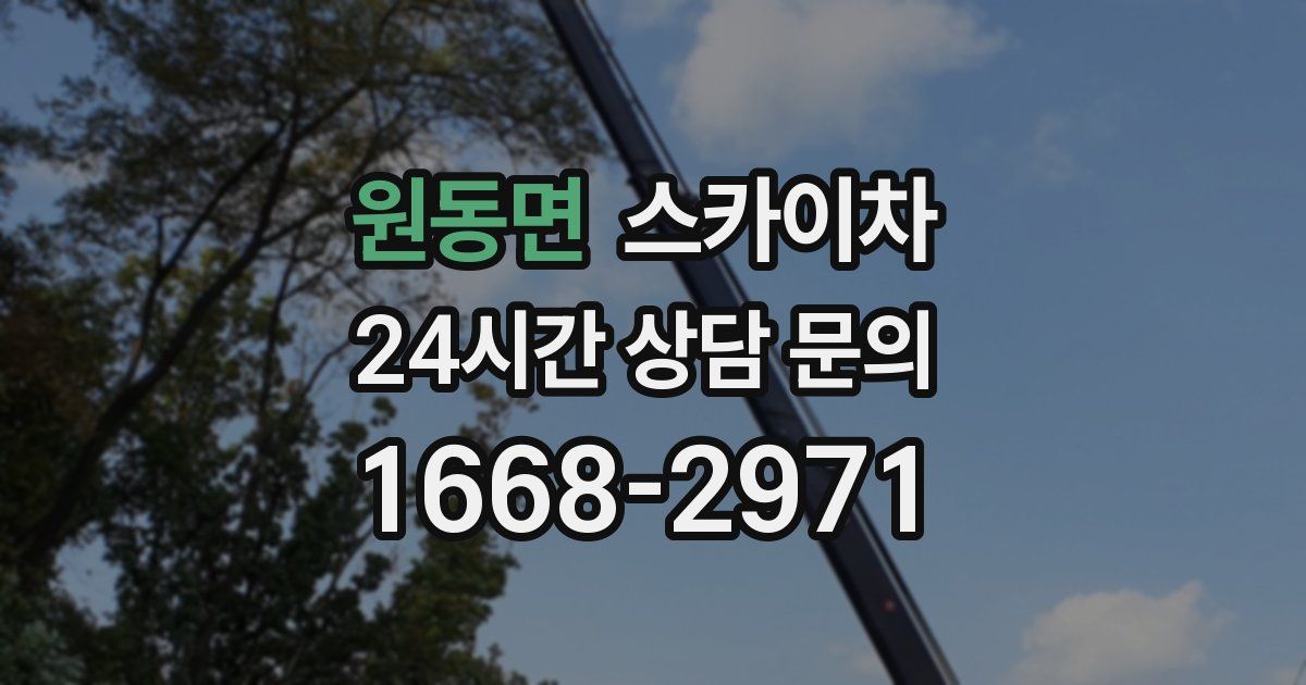 원동면 스카이차