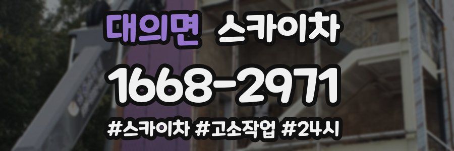 대의면 스카이차