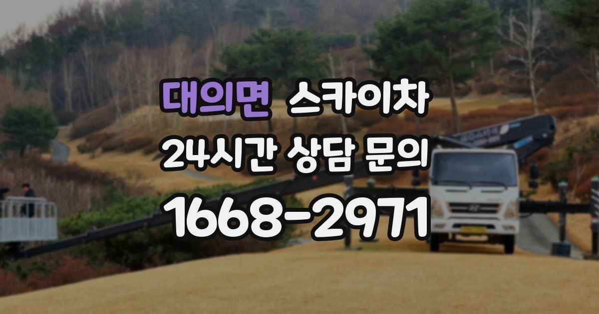 대의면 스카이차