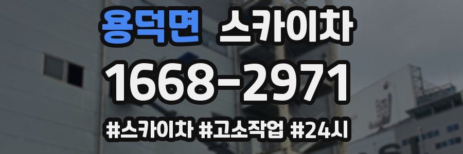 용덕면 스카이차