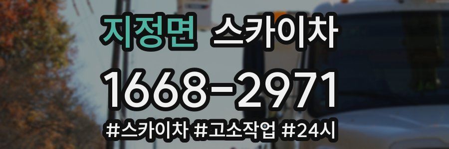 지정면 스카이차