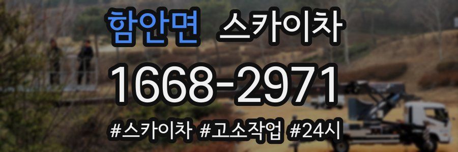 함안면 스카이차