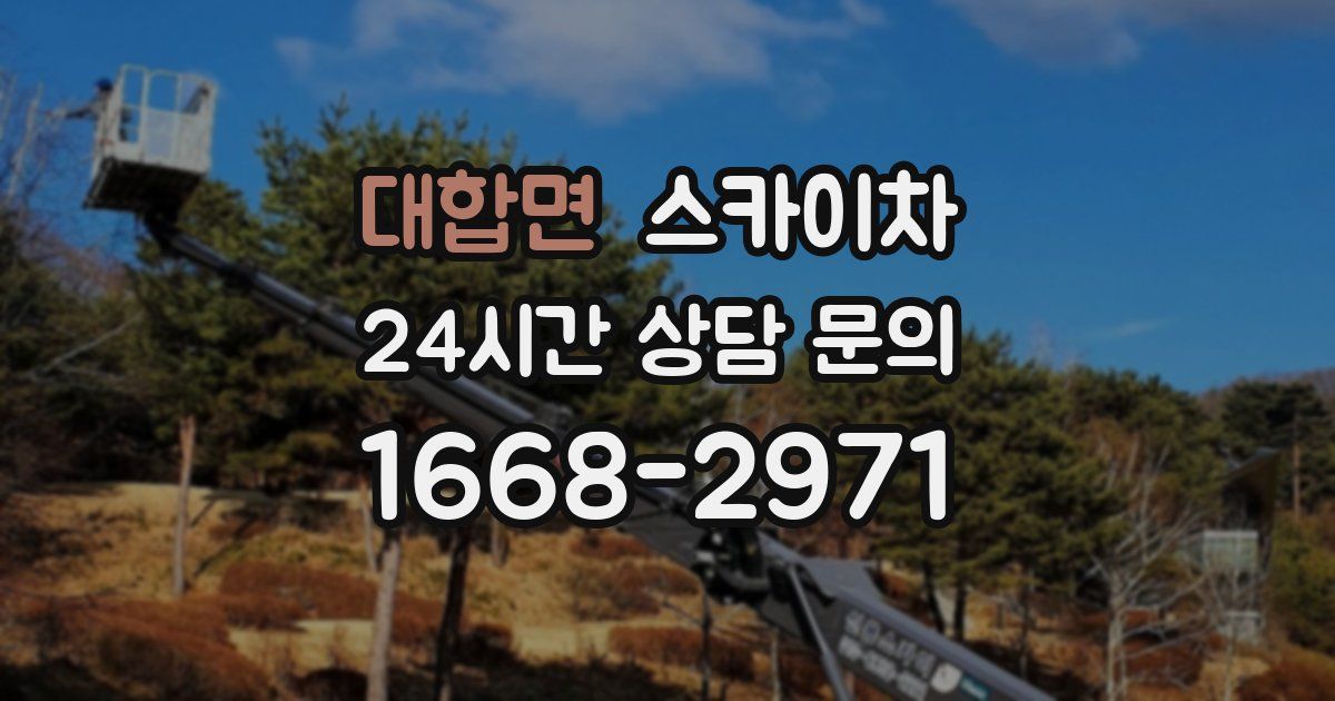 대합면 스카이차