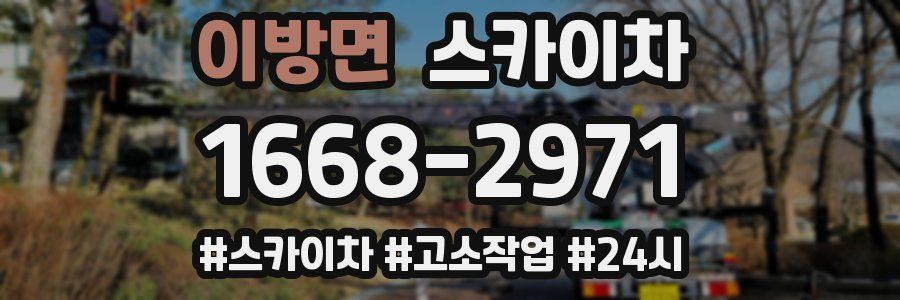 이방면 스카이차