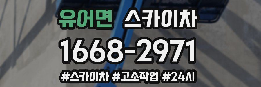 유어면 스카이차