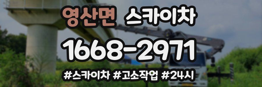 영산면 스카이차