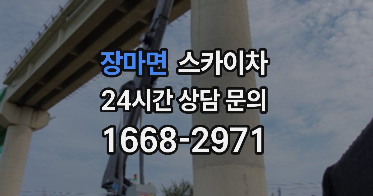 장마면 스카이차