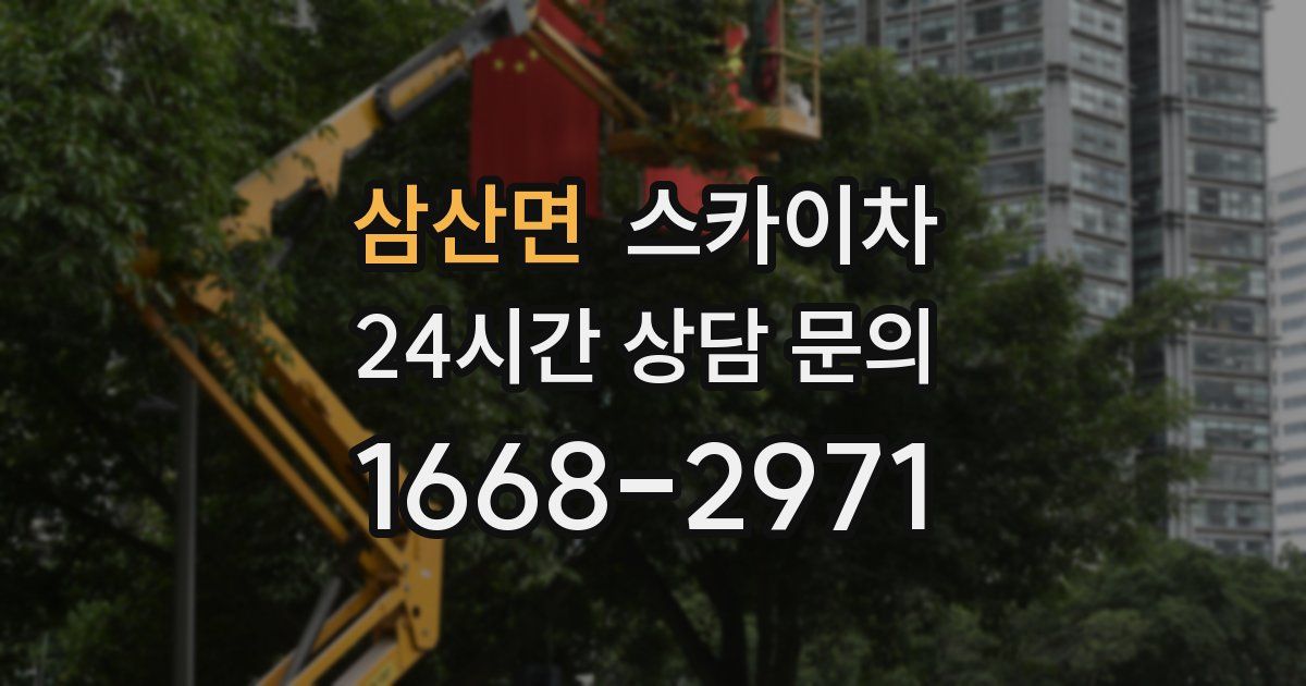 삼산면 스카이차