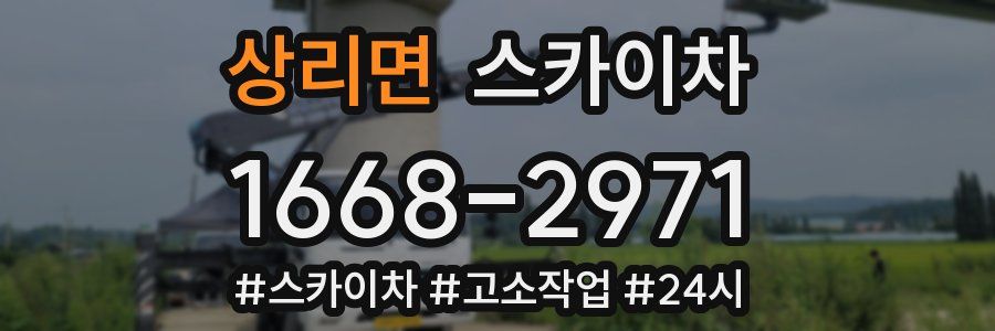 상리면 스카이차