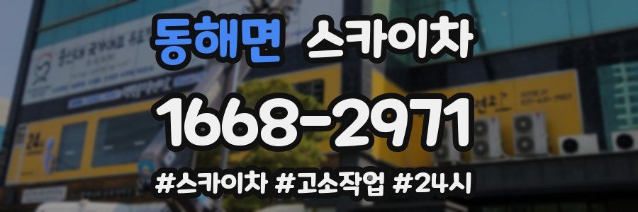 동해면 스카이차