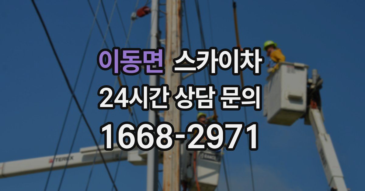 이동면 스카이차