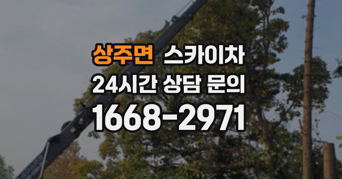 상주면 스카이차