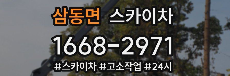 삼동면 스카이차