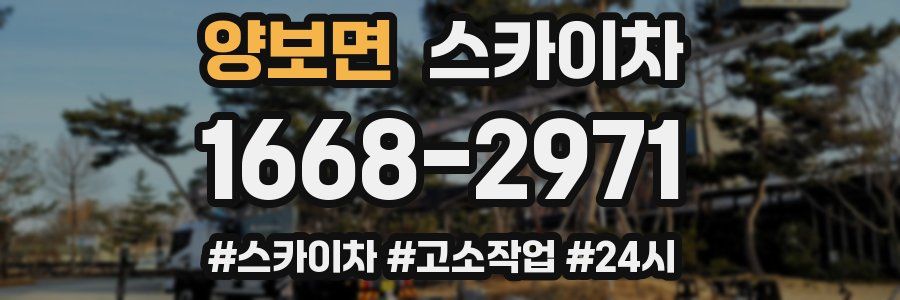 양보면 스카이차