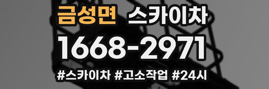 금성면 스카이차