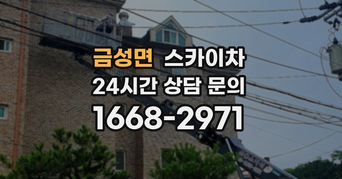 금성면 스카이차