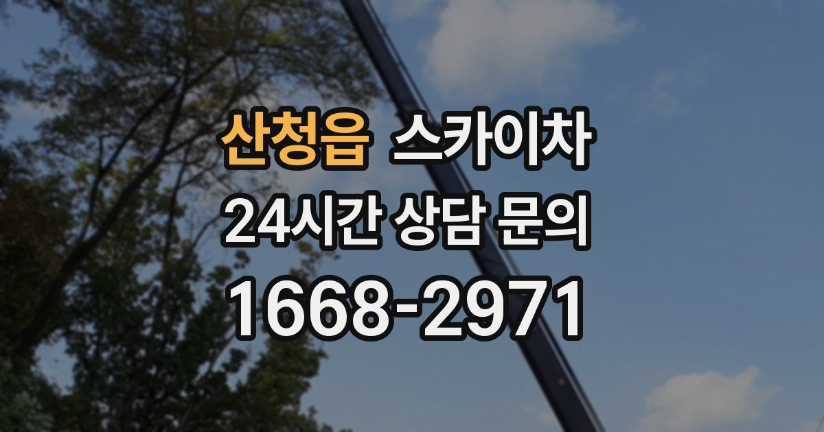 산청읍 스카이차