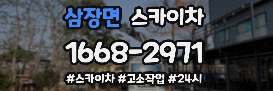 삼장면 스카이차