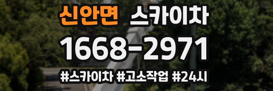 신안면 스카이차