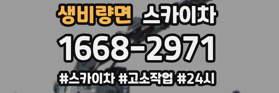 생비량면 스카이차