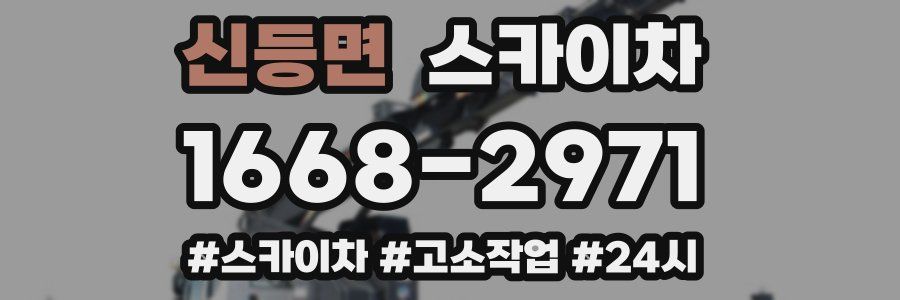 신등면 스카이차