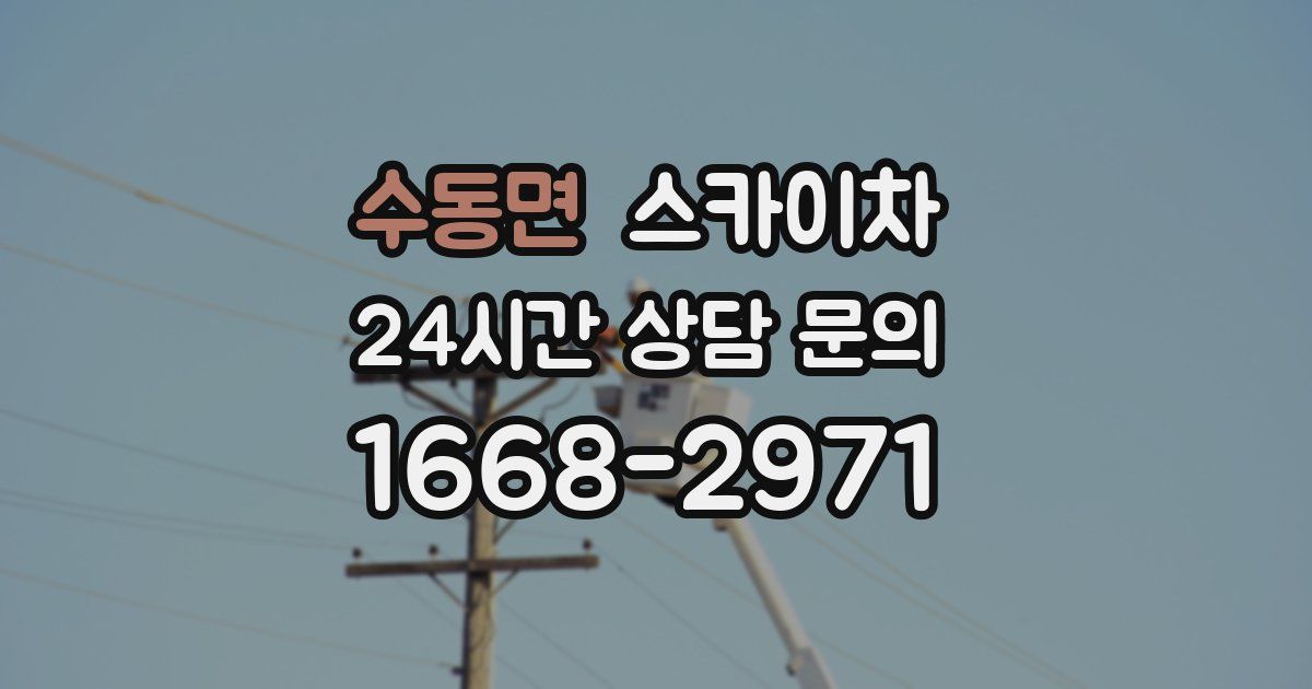 수동면 스카이차