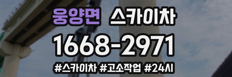 웅양면 스카이차