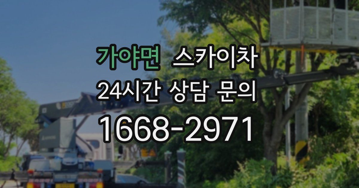 가야면 스카이차