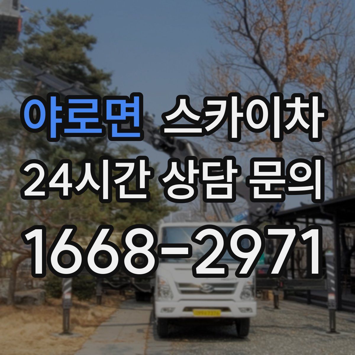 야로면 스카이차