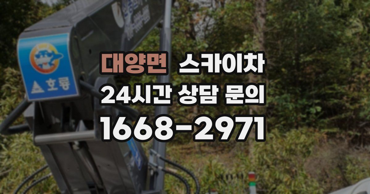 대양면 스카이차