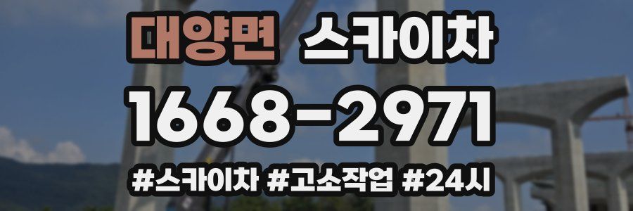 대양면 스카이차