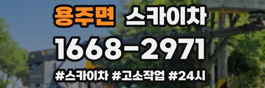 용주면 스카이차