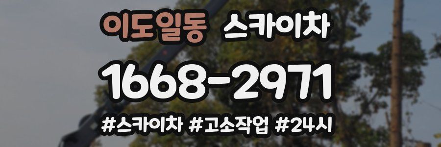 이도일동 스카이차