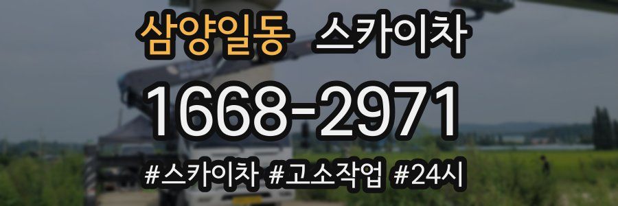 삼양일동 스카이차