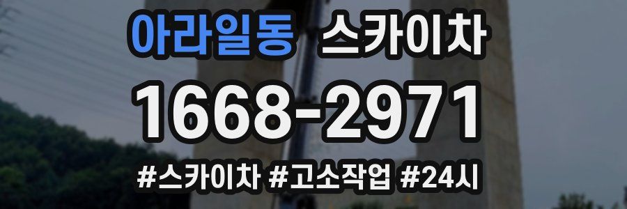 아라일동 스카이차