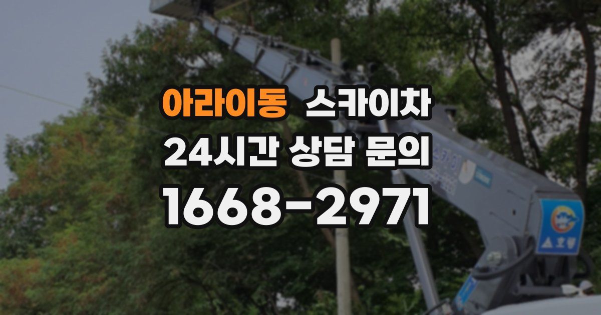 아라이동 스카이차