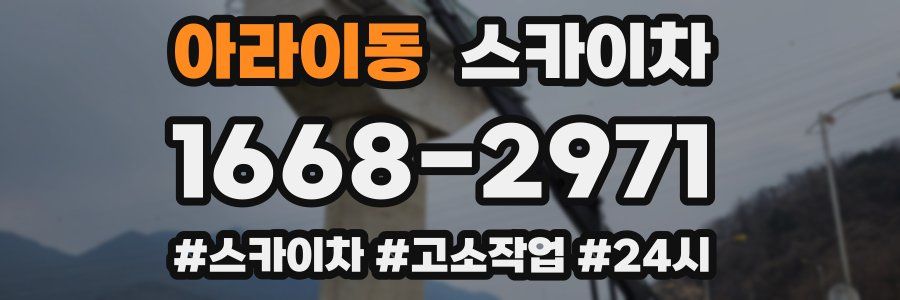 아라이동 스카이차