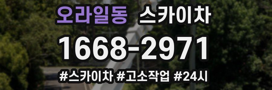 오라일동 스카이차