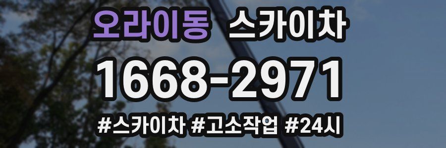 오라이동 스카이차