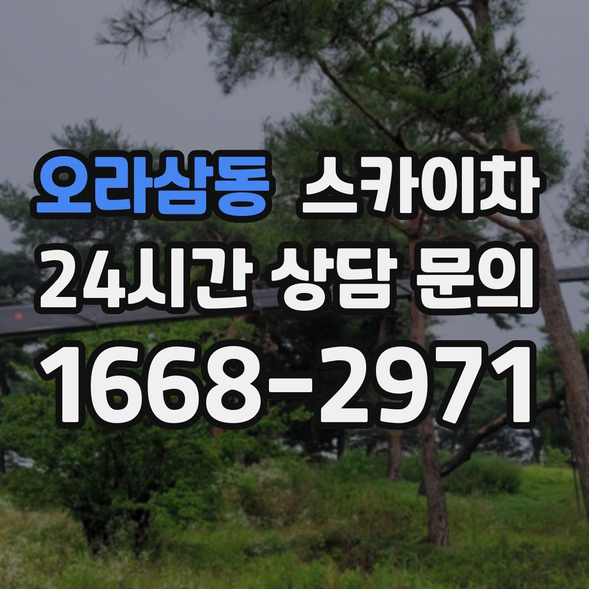 오라삼동 스카이차